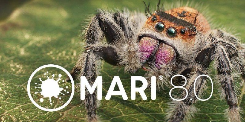 Foundry выпустила Mari 8.0: более 50 новых узлов и обновление спецификации VFX Reference Platform